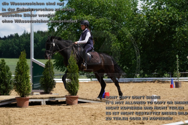 s_K3F05965.JPG